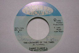 Danny Clarke &  The Meditations: The Changing Of The Times, Wildflower